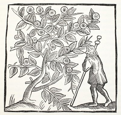 Joseph von Arimathäa und der Glastonbury-Dorn, Illustration aus Chap-books of the Eighteenth Century von John Ashton, veröffentlicht 1882 von English School