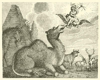 Jupiter und das Kamel von English School