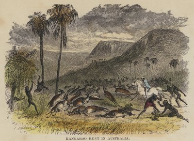 Kängurujagd in Australien von English School