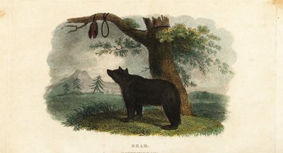 Methode der Koryak-Leute, Bären im russischen Fernen Osten zu jagen von English School