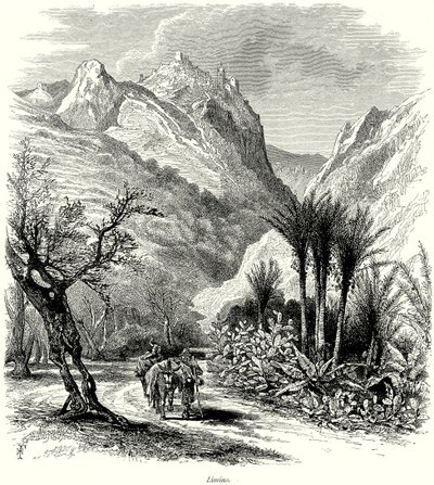 Limino von English School