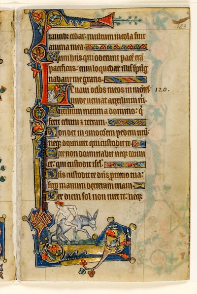 MS 1-2005, fol. 183r: Ein Mann, der rückwärts reitet, Randdekoration aus dem Macclesfield Psalter, Use of Sarum, Ostanglien, um 1330 von English School