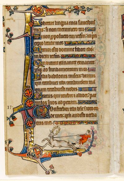 MS 1-2005, fol. 193v: Ein Hirsch, der von einem Mann mit einem Lasso gefangen wird, Randdekoration aus dem Macclesfield Psalter, Use of Sarum, Ostanglien, um 1330 von English School