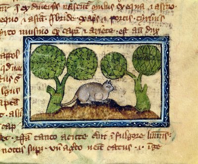 MS 379 f.12r Eine Katze, die auf einem Erdhügel kauert, Detail aus einem Bestiarium, Englisch von English School