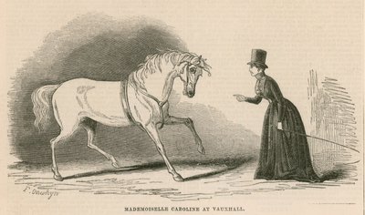 Mademoiselle Caroline in den Vauxhall Gardens, London von English School