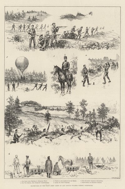 Manöver des ersten Armeekorps in und um den Wolmer Forest, Hampshire (Stich) von English School