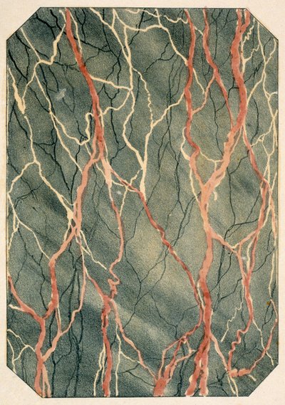 Marmorierungseffekte: Seite aus einem viktorianischen Musterbuch, veröffentlicht 1880 von English School