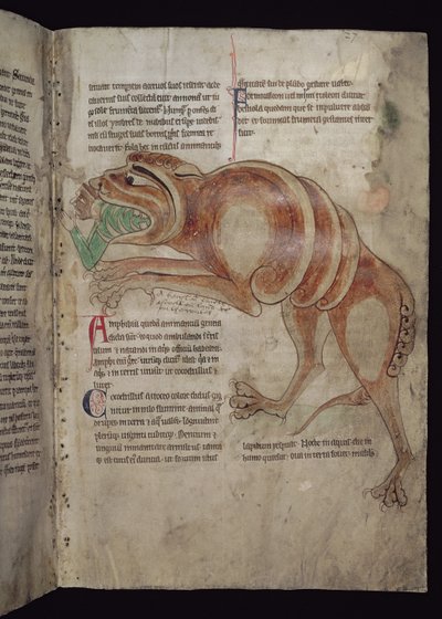 Ms.254 f.24 r Krokodil verschlingt einen Mann von English School