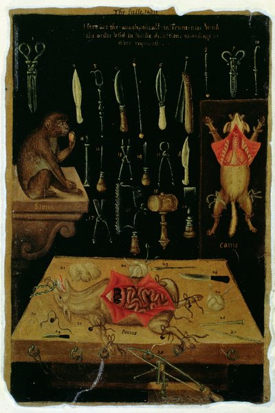 Ms Hunter 364 Tabelle I Dissektionsinstrumente, aus Anatomischen Tafeln, von John Banister (1540-1610) von English School
