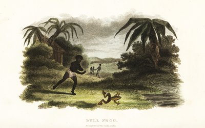 Indianer verliert ein Rennen gegen einen Ochsenfrosch zu einem Teich von English School