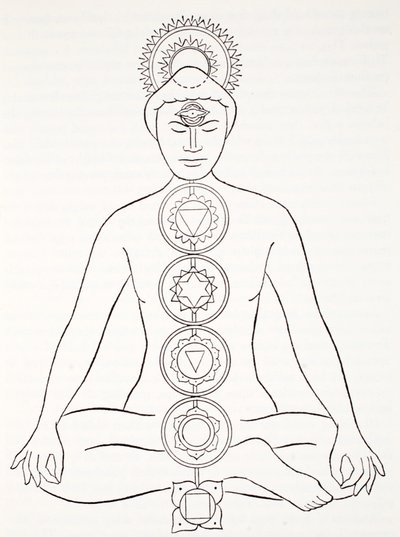 Padmasana oder Lotusposition von English School