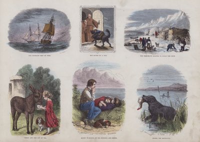 Seite aus dem Attraktiven Bilderbuch von English School
