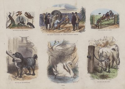Seite aus dem Attraktiven Bilderbuch von English School