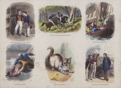 Seite aus dem Attraktiven Bilderbuch von English School