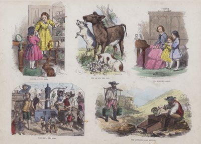 Seite aus dem Attraktiven Bilderbuch von English School