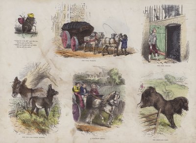 Seite aus dem attraktiven Bilderbuch (kolorierte Gravur) von English School