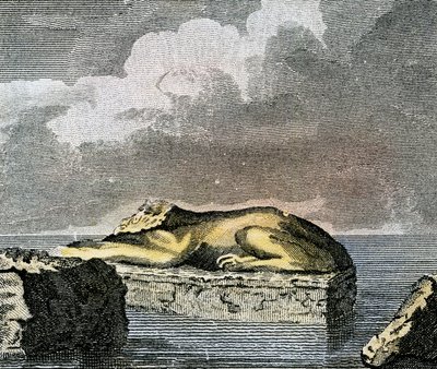 Teil einer ägyptischen Sphinx, gefunden in den Ruinen der antiken Stadt Canopus von English School