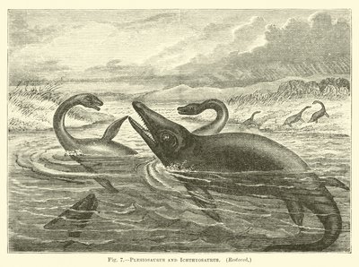 Plesiosaurus und Ichthyosaurus von English School