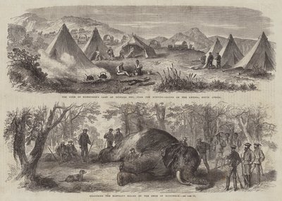 Prinz Arthur in Südafrika (Stich) von English School