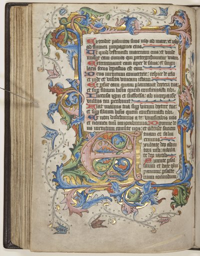 Psalter mit Sarum-Kalender, ca. 1425-75 von English School