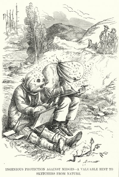 Genialer Schutz gegen Mücken - ein wertvoller Hinweis für Naturzeichner (Stich) von English School