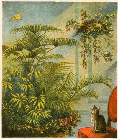 Pussy und Dicky, Katze und Kanarienvogel von English School