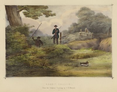 Kaninchenjagd von English School