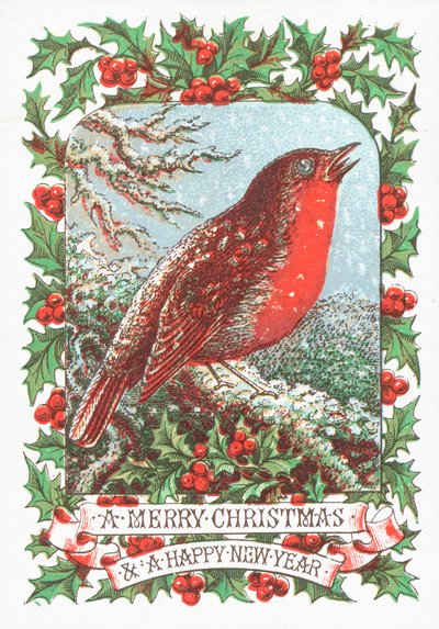 Rotkehlchen auf einem Ast, Weihnachtskarte von English School