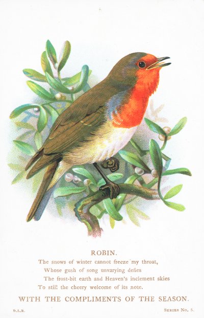 Rotkehlchen singt auf Ast, Weihnachtskarte von English School