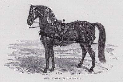 Königliches Hannoveraner Kutschpferd (Stich) von English School