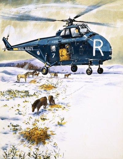 Hubschrauber der Royal Navy für Tierrettung von English School