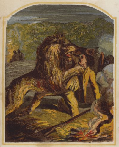 Schottischer Missionar David Livingstone von einem Löwen in Afrika angegriffen (Chromolithografie) von English School