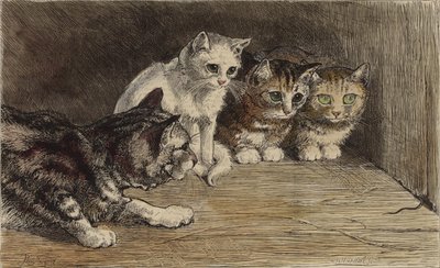Mehrere Katzen betrachten den Schwanz einer Maus von English School