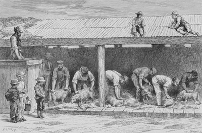 Schafschur, ca. 1880, aus 