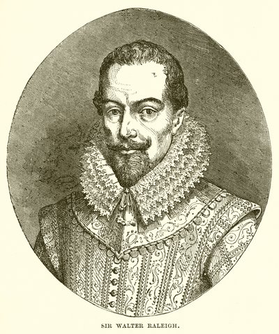 Sir Walter Raleigh von English School