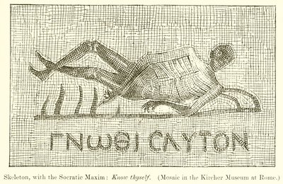 Skelett mit dem sokratischen Spruch: Erkenne dich selbst (Mosaik im Kircher Museum in Rom) von English School