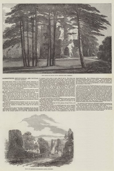 Somersetshire Archäologische und Naturhistorische Gesellschaft von English School