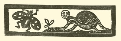 Spinne und Fliege von English School