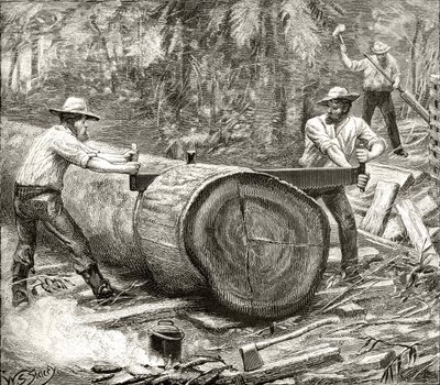 Holzspalter im Busch, um 1880, aus 