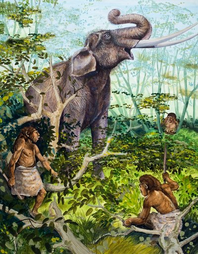 Steinzeitmensch und Elefant von English School