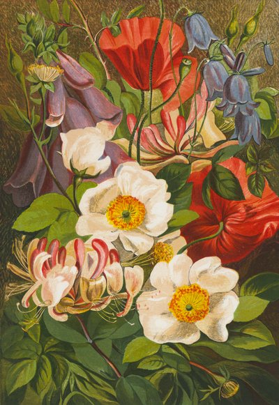 Sommerblumen von English School