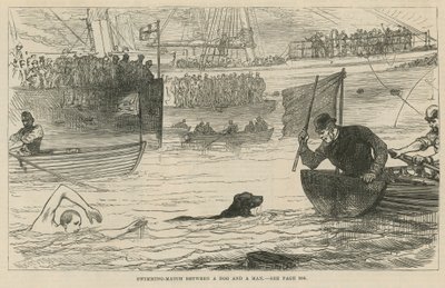 Schwimmwettkampf zwischen einem Hund und einem Mann von English School