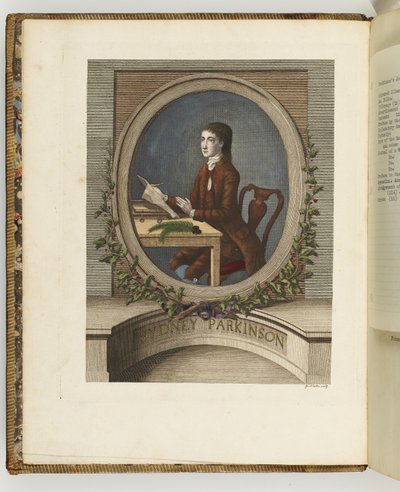 Sydney Parkinson, Illustration aus 