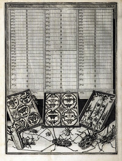 Tafel 1 aus Elenchus Tabularum von Levin Vincent (1658-1727) 1719 von English School