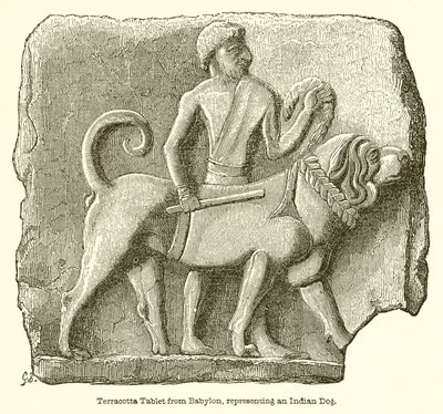 Terrakotta-Tafel aus Babylon, die einen indischen Hund darstellt von English School