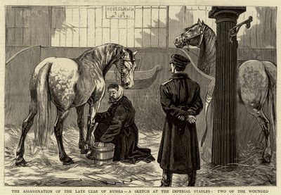 Die Ermordung des verstorbenen Zaren von Russland, eine Skizze in den kaiserlichen Ställen, zwei der Verwundeten von English School
