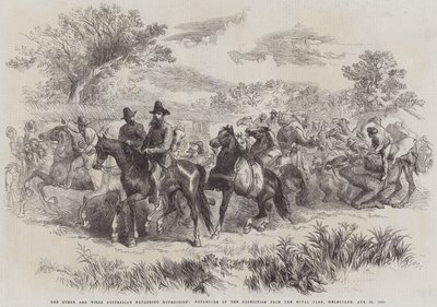 Die Burke und Wills Australische Erkundungsexpedition, Abreise der Expedition aus dem Royal Park, Melbourne, 20. August 1860 (Stich) von English School