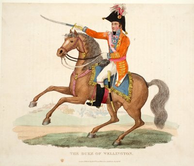Der Herzog von Wellington, veröffentlicht von Richard Evans, graviert von Romney, Illustration aus An Historical Account of the Battle of Waterloo von William Mudford, 1816 von English School