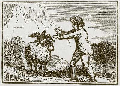 Der Adler und die Krähe (Gravur) von English School
