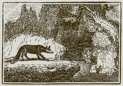 Der Fuchs und der kranke Löwe von English School